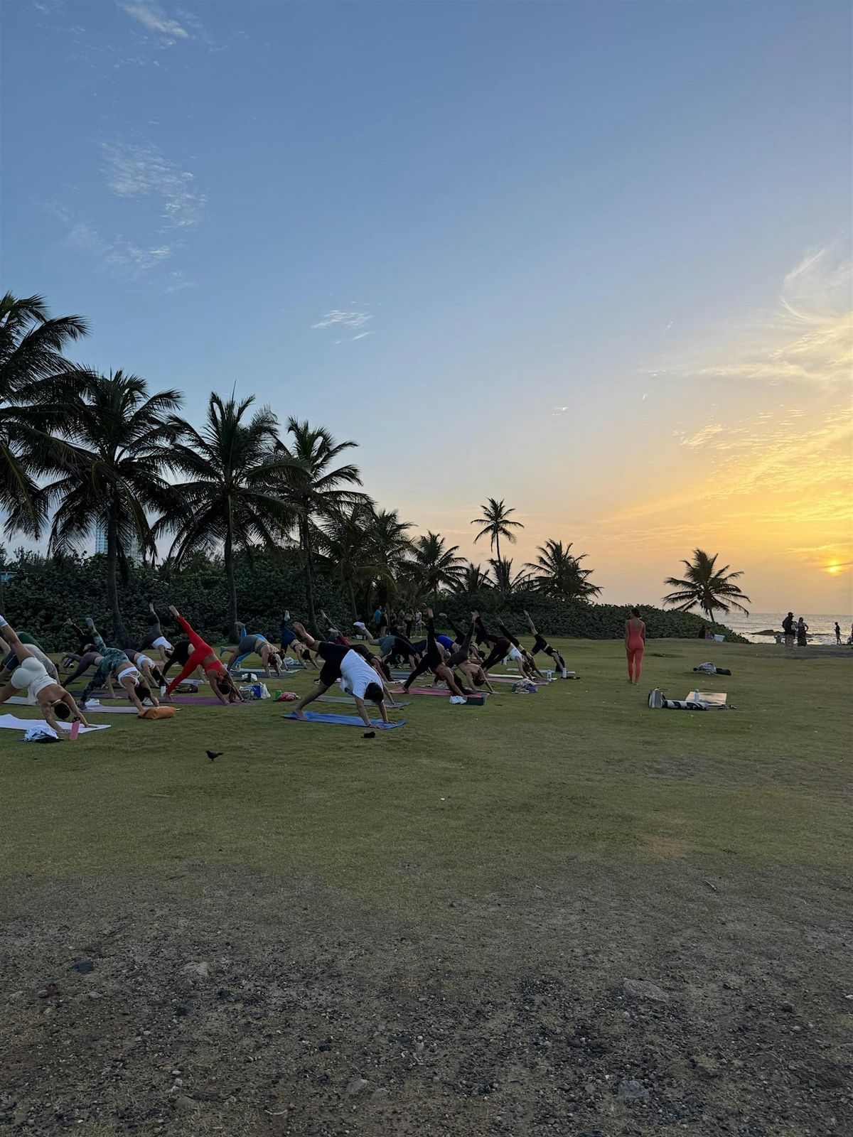 Sunset Yoga with Revibe