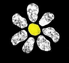 Born of Frustration (James Tribute)- Live at The Empire