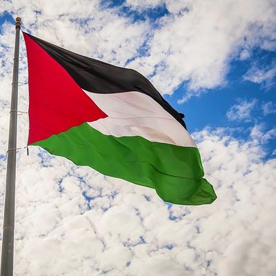 Totnes friends of Palestine