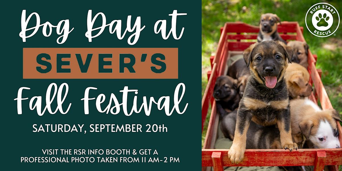 Dog Day at Sever's Fall Festival Benefiting Ruff Start Rescue