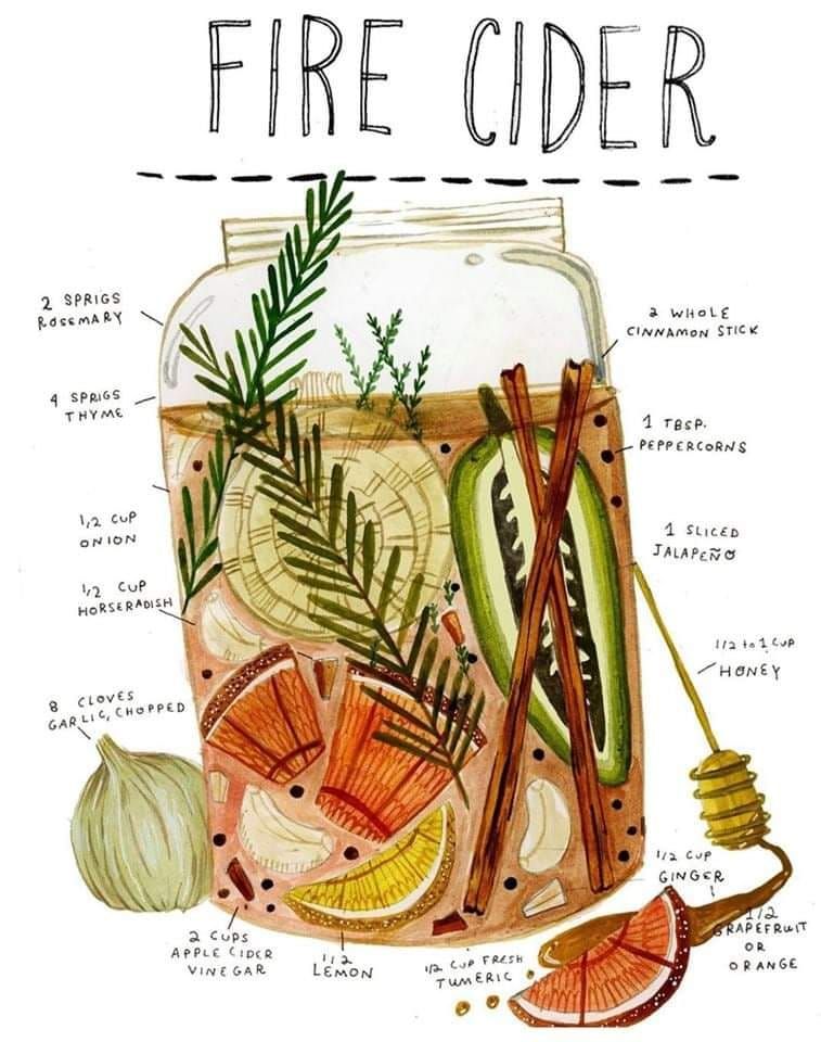 Herbal remedies 101- DIY Fire Cider & Elderberry Syrup