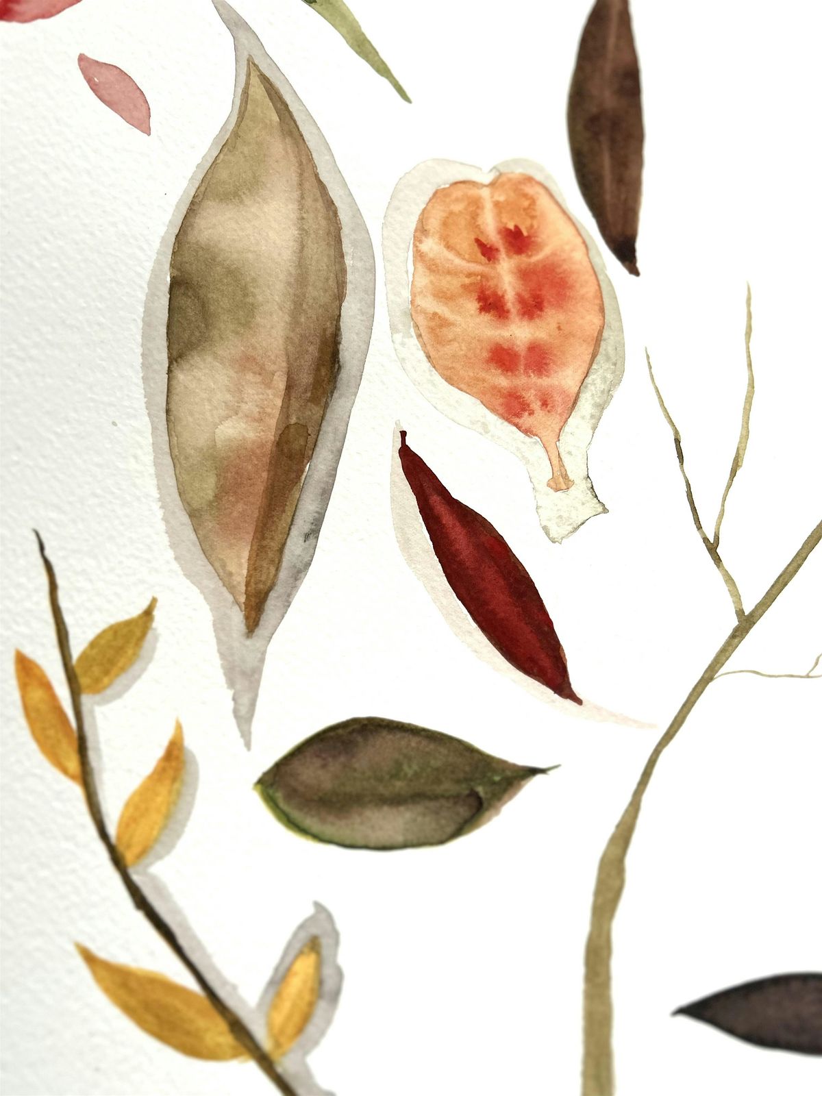 Watercolour and Ink Workshops