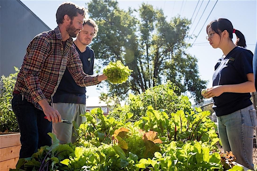 FREE: Preparing and Planting Your Spring Veggie Garden