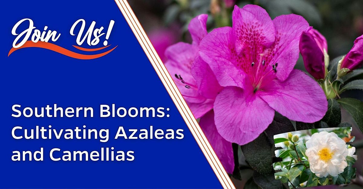 Southern Blooms: Cultivating Azaleas and Camellias