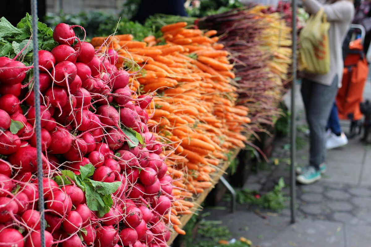 Slow Food NYC Farmers Market Tour