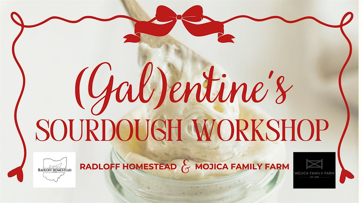 (Gal)entine's Sourdough Workshop