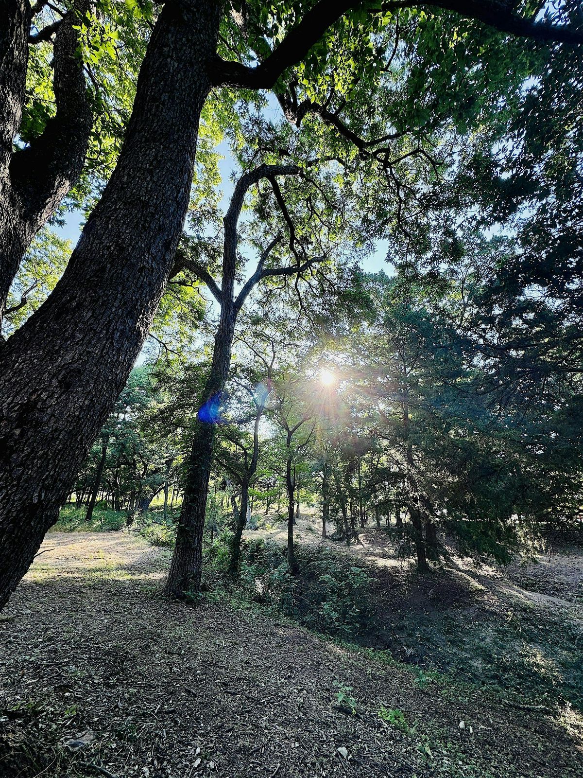 Nature Walk for Women: Find Your Breakthrough