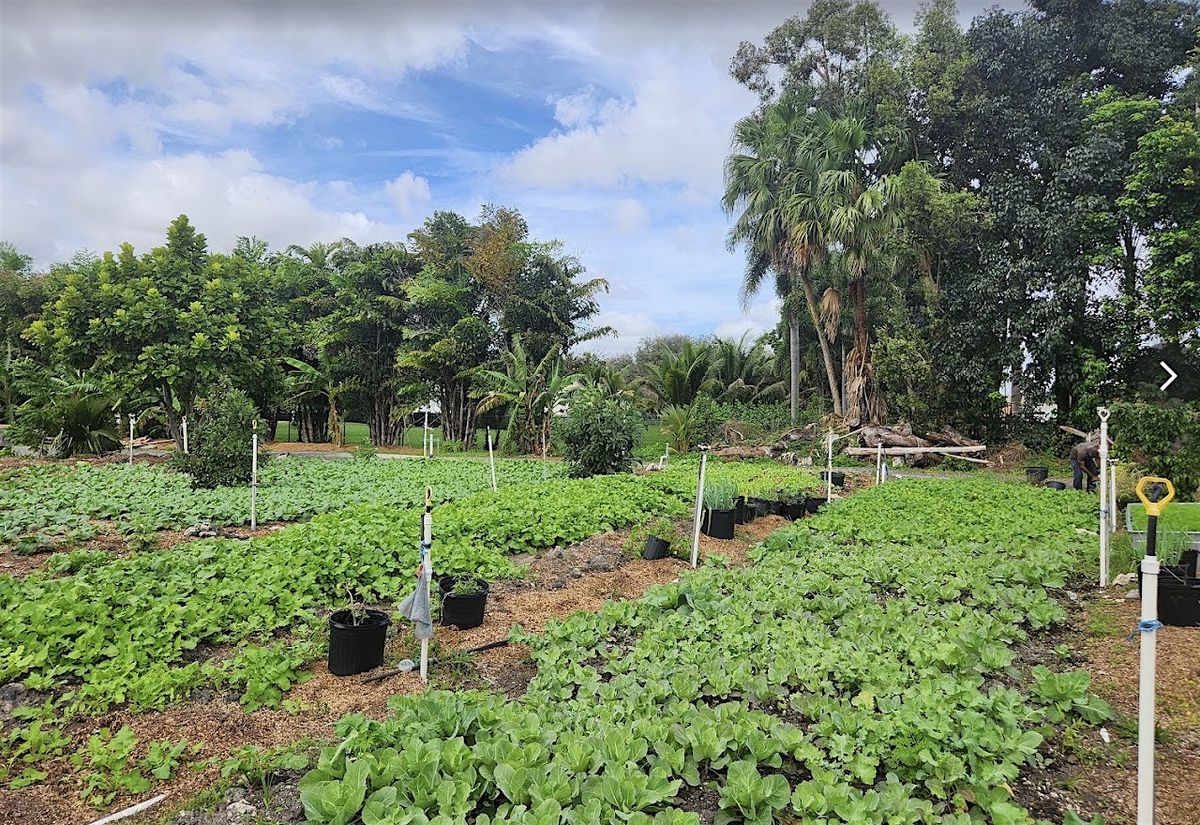 From Stress to Stillness: Half Day Wellness Retreat