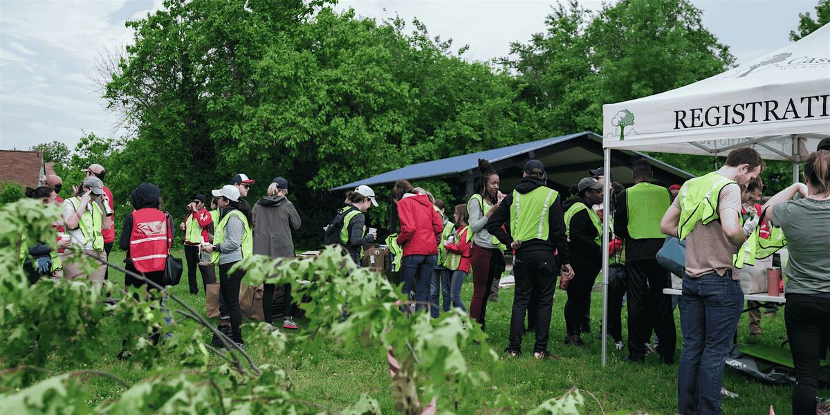 Community Tree Care: Turkey Thicket Tree Care for Ward 5 Day