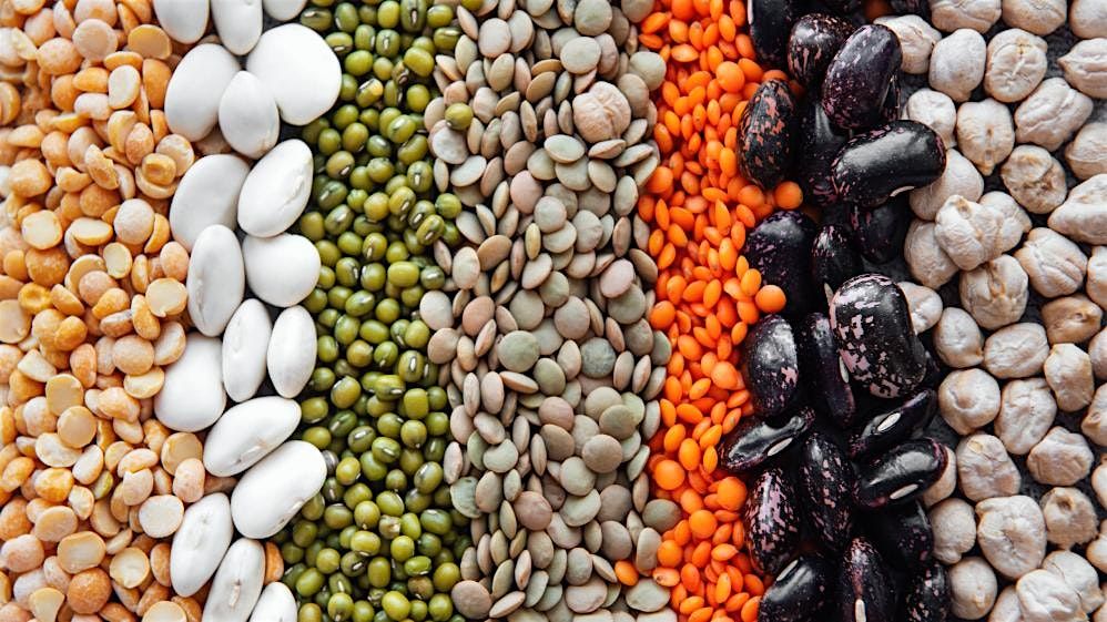 Beans and Beyond  (Day Class)