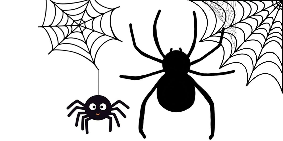 Drawing Spiders and Webs Art Class for Kids of Ages 5 - 13 years old