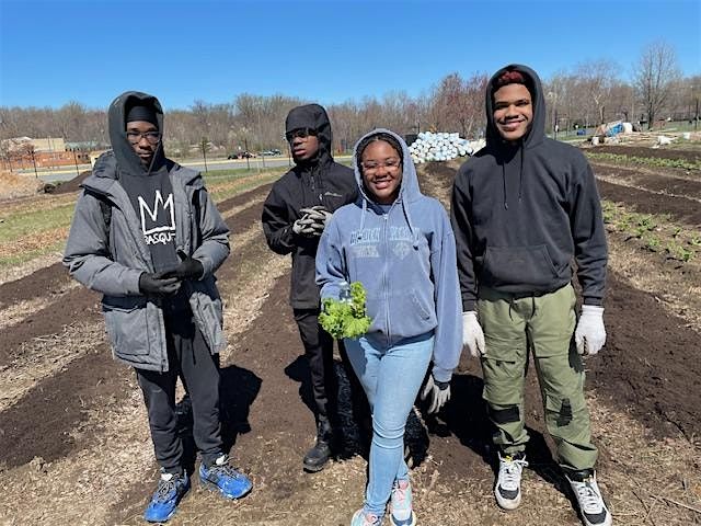 Volunteer & Learn To Grow Organic Vegetables At Asawana Farms