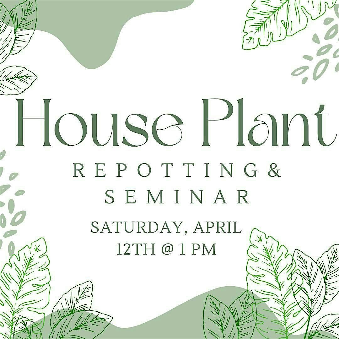 House Plant Repotting & Seminar