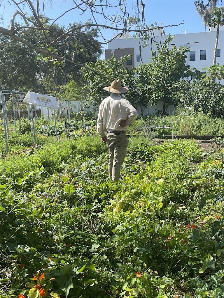 Volunteer at the farm