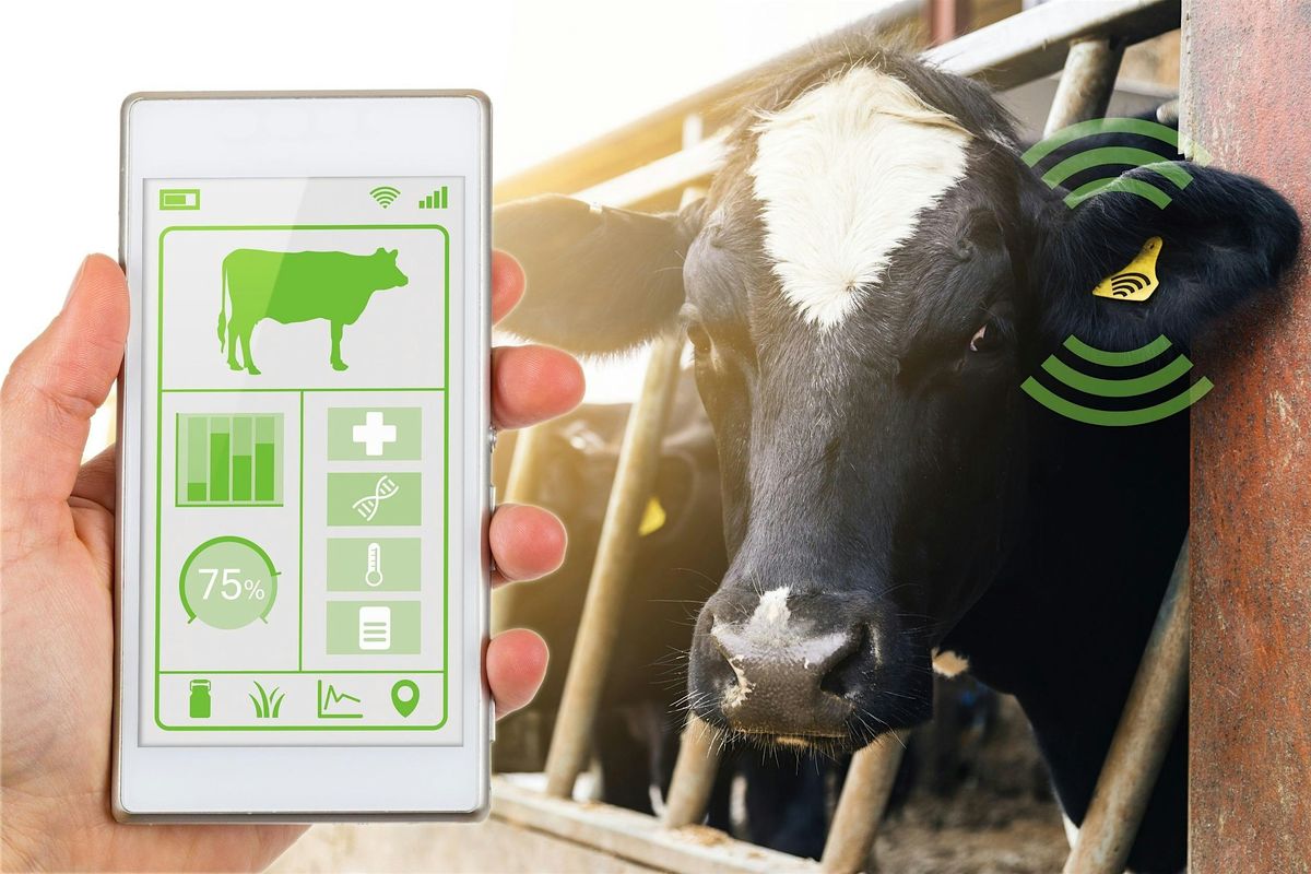 Transforming the Dairy Supply Chain with Innovation & Collaboration