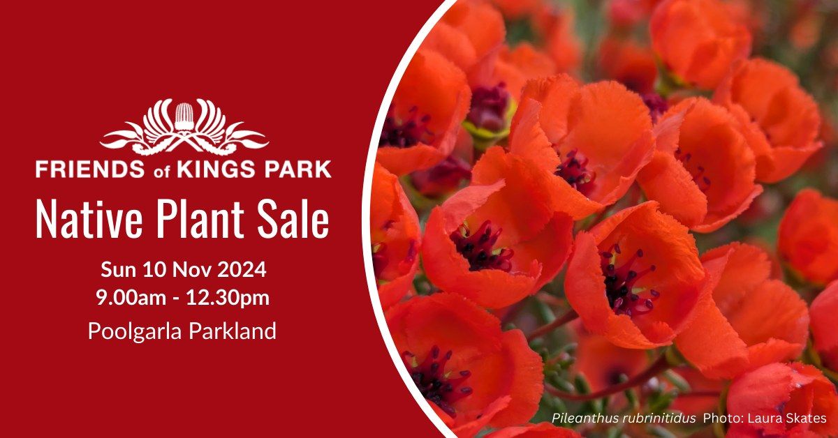 Friends of Kings Park November Native Plant Sale