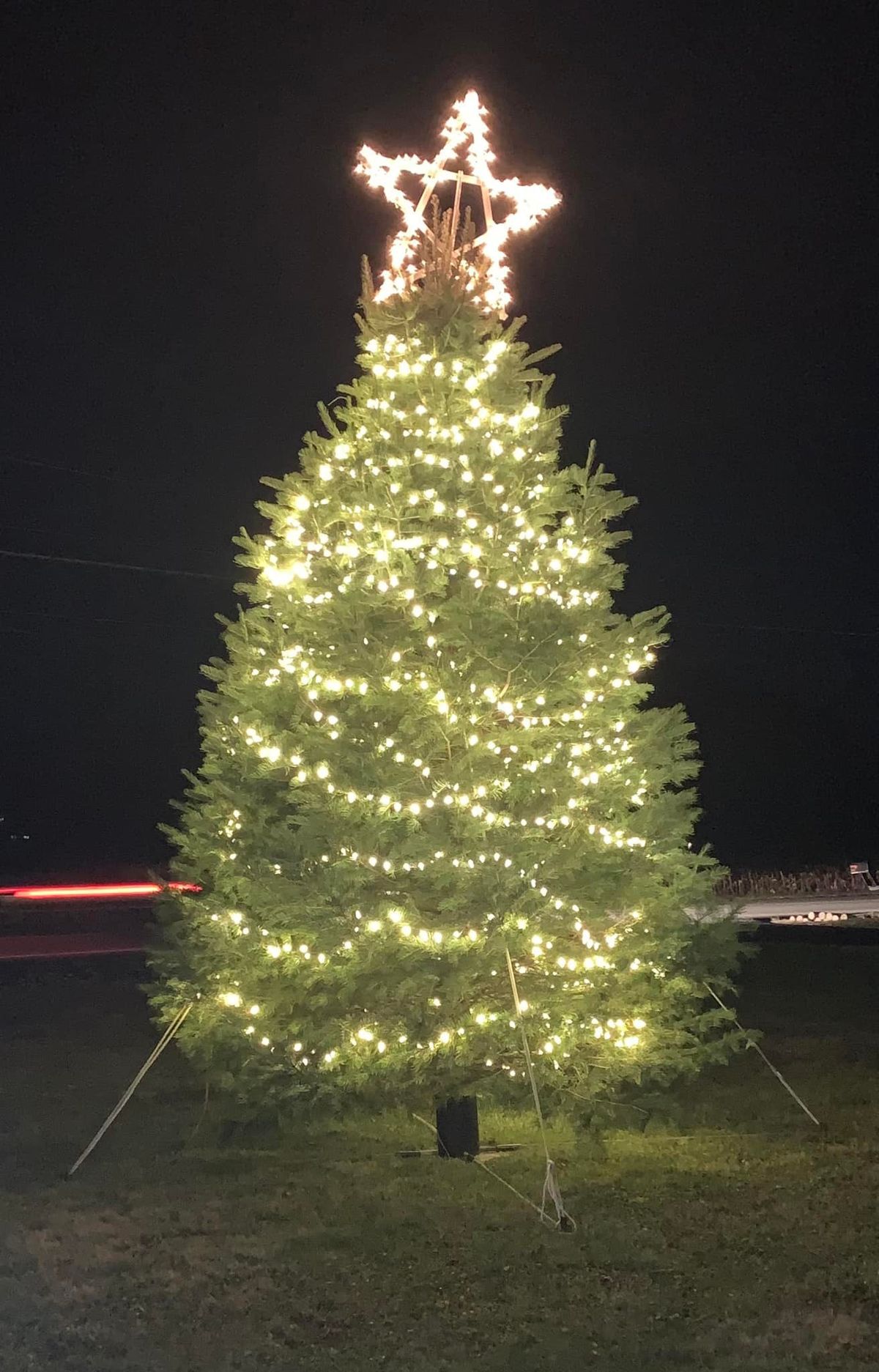 4th Annual Christmas Tree Lighting at Wingate Faith