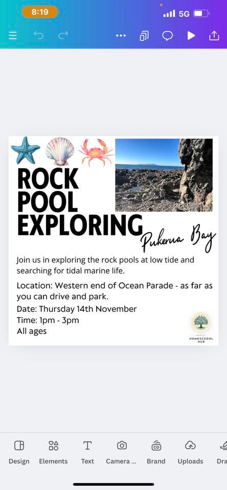 Rock Pool Exploring