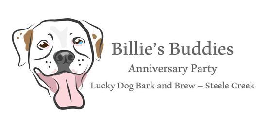 Billie\u2019s Buddies Anniversary Pawty!