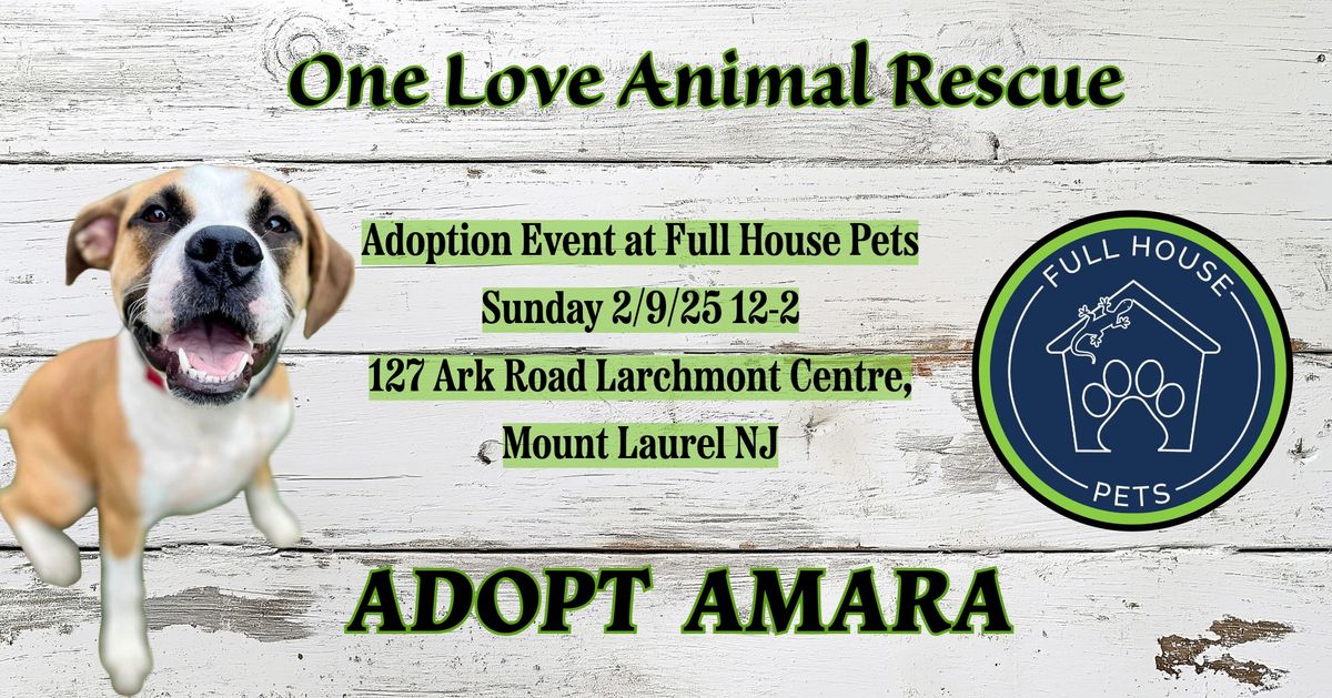 ONE LOVE ANIMAL RESCUE ADOPTION EVENT at FULL HOUSE PETS