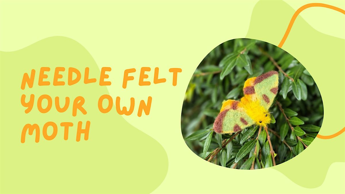 Felt Your Own Woolly Moth