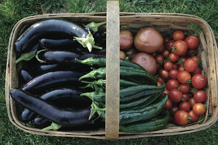 Growing Vegetables in Central Oregon - Madras