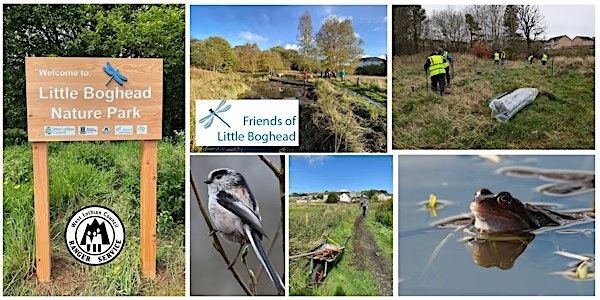 Friends of Little Boghead - Hibernacula creation