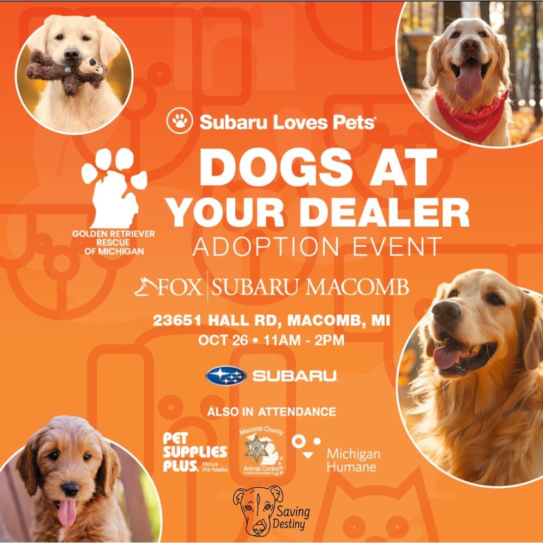 Dogs at Your Dealer Adoption Event