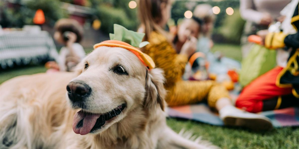 Fairmont Washington D.C., Georgetown's 14th Annual Howl-O-Ween