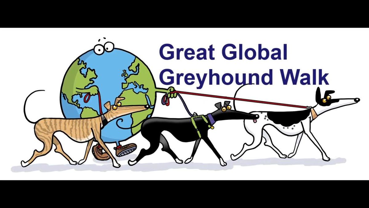 Great Global Greyhound Walk at the Mining Museum, Astley 