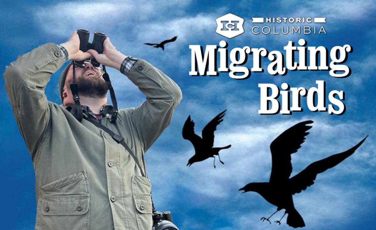 Birdwatching in the Gardens | Migration Season