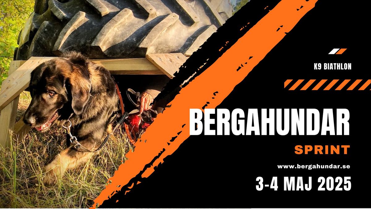 K9 biathlon - Bergahundar SPRINT 8