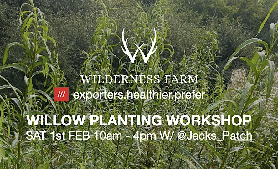 WILLOW PLANTING WORKSHOP