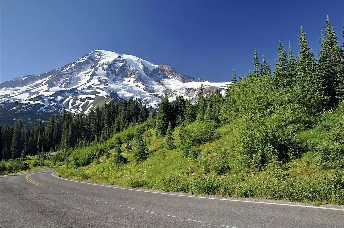 Mawlid | Journey of Hearts | Wasat x Bustan | Portland