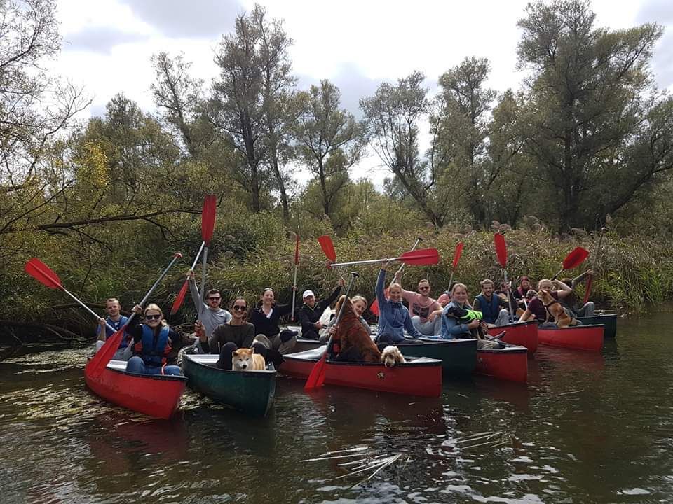 Simba's Biesbosch Experience