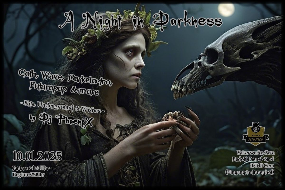 A Night in Darkness 