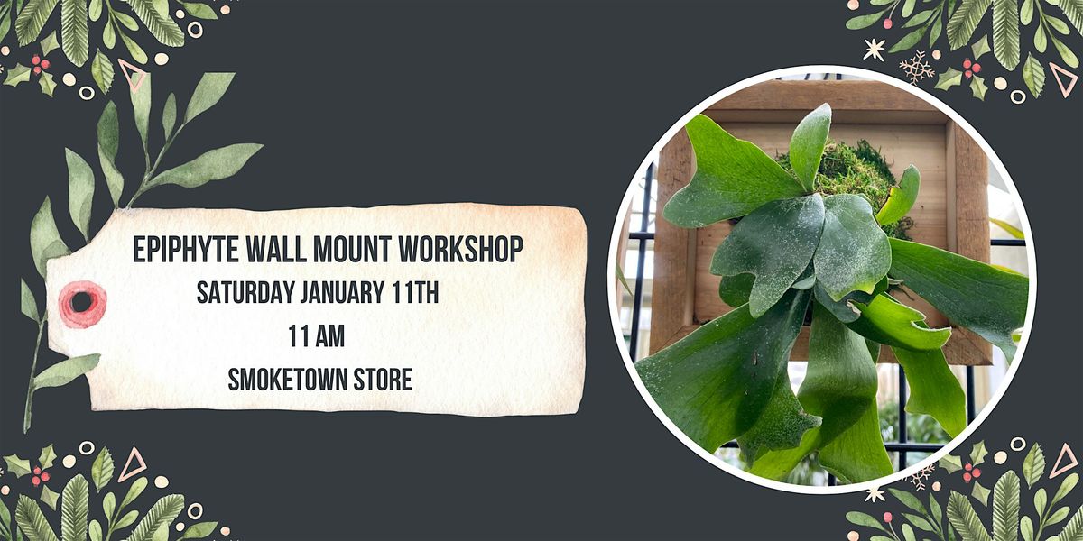 Epiphyte Wall Mount Workshop (Smoketown Location)