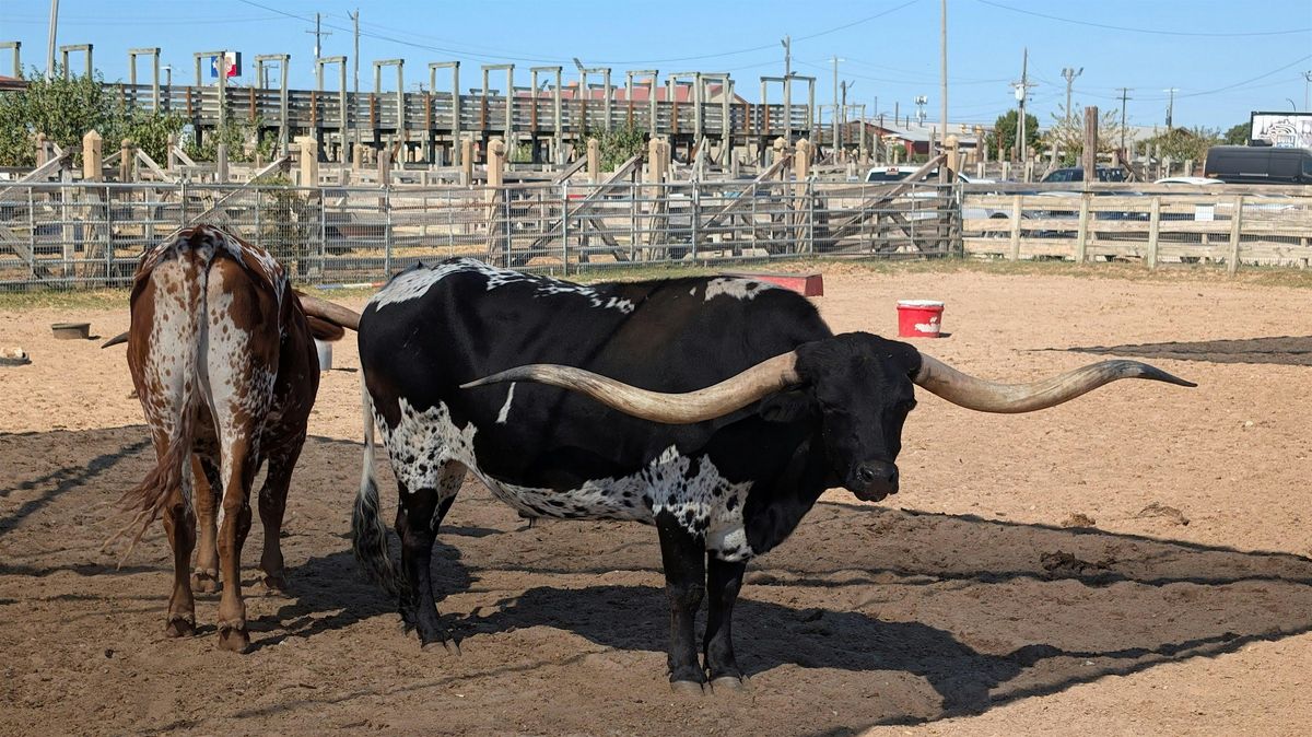 Fort Worth Stockyards Scavenger Hunt Walking Tour & Game