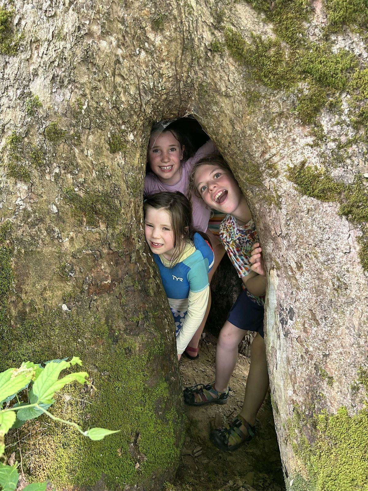 Margaret Creek Watershed Summer Camp