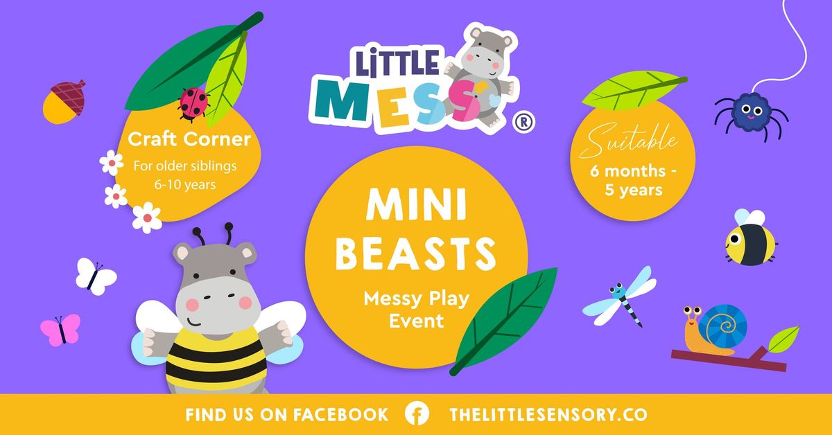 Messy Play - Mini Beasts - Gentleshaw