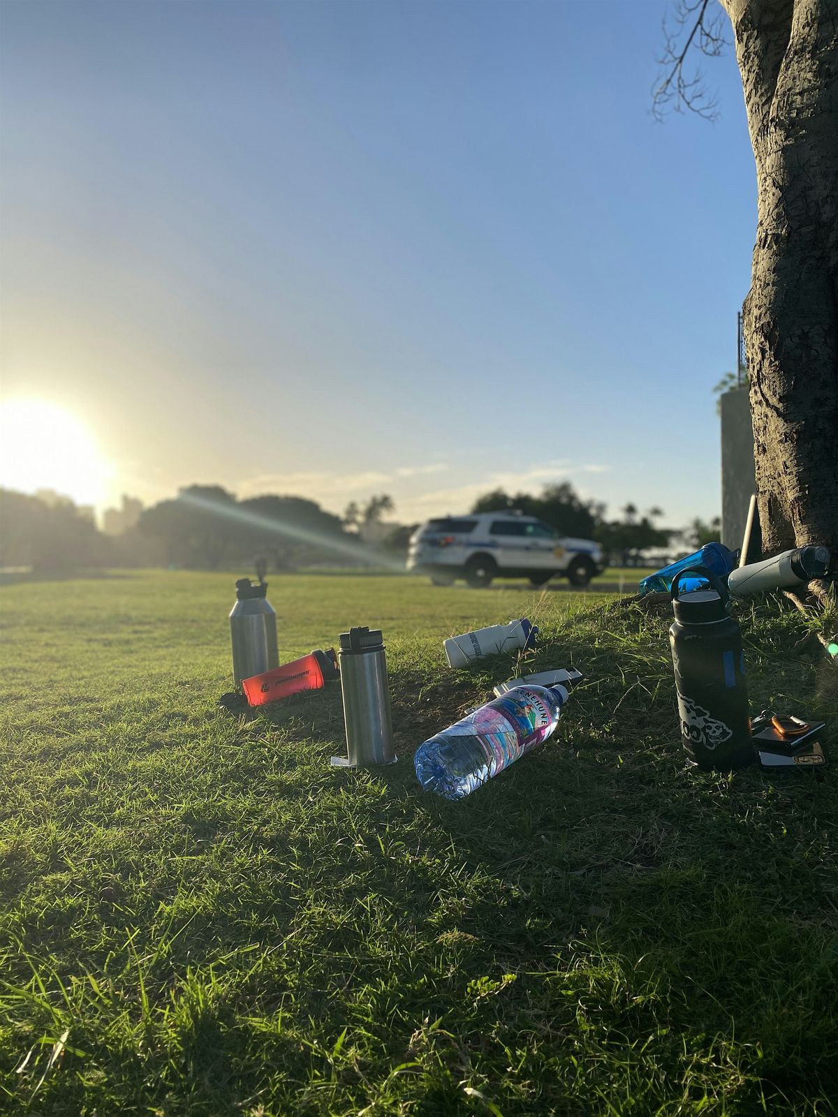 HPD FIT  \/ Information Session