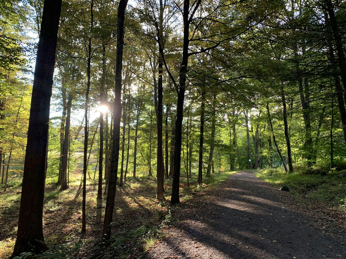 Hike with Mike: Pocantico Lake and Pocantico River