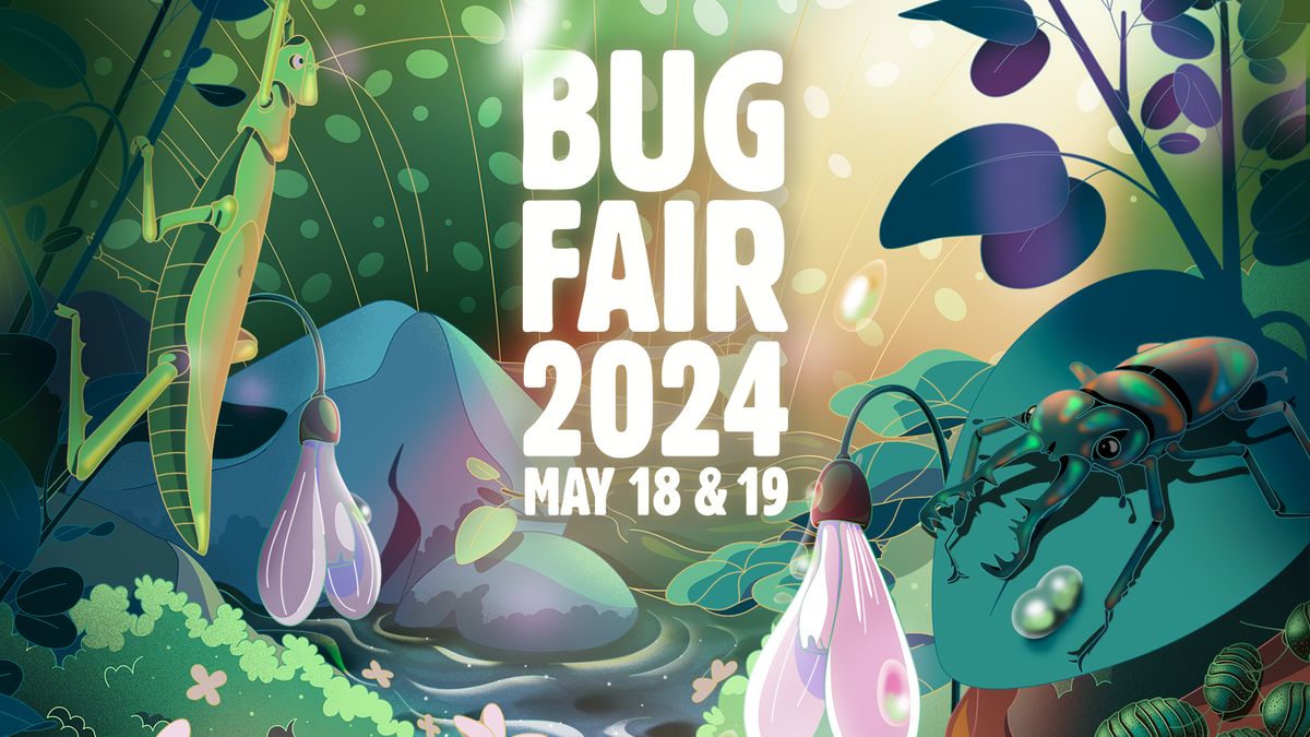 Bug Fair 2024