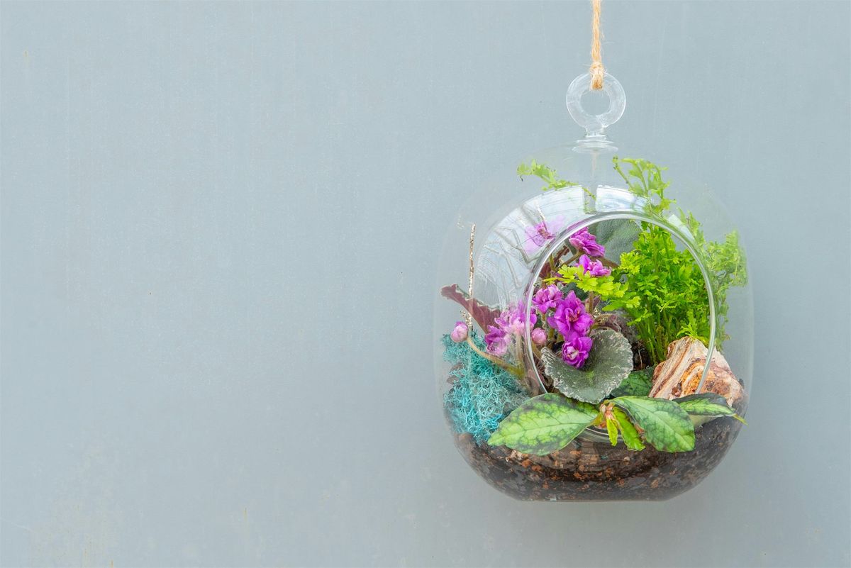 Create and Sip: Terrarium Workshop