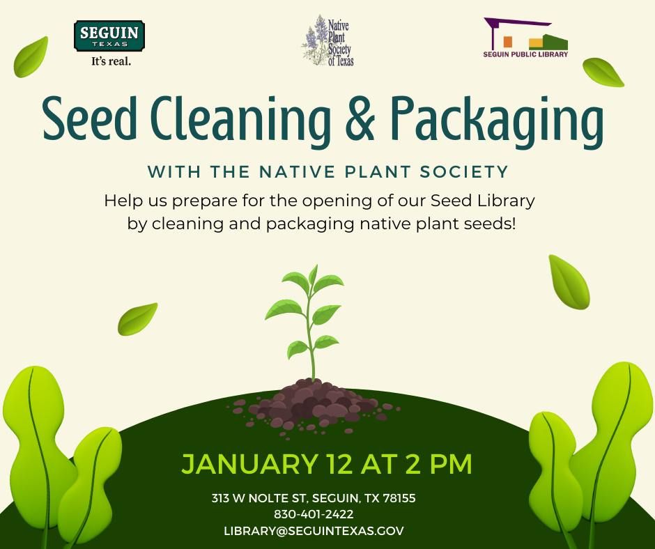 Seed Cleaning & Packaging