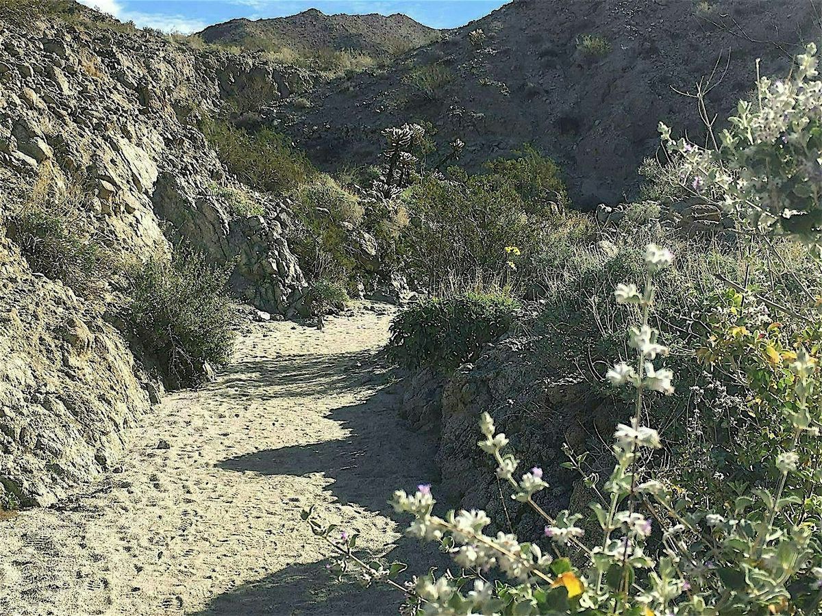 Randall Henderson Interpretative Hike - Partial Trail