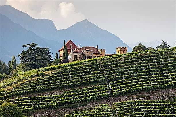 Wine Dinner Series: Alto Adige wine dinner