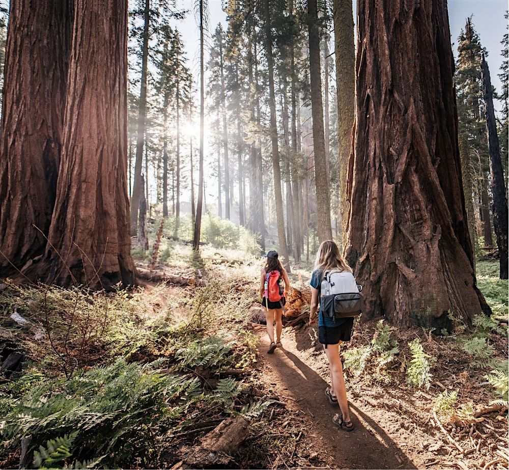 Tourism & Hospitality Workshop | Fall 2025