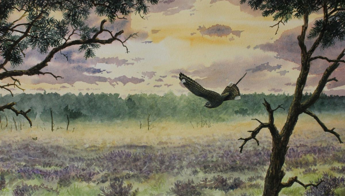 Learn to draw and paint landscapes with Steve Cale