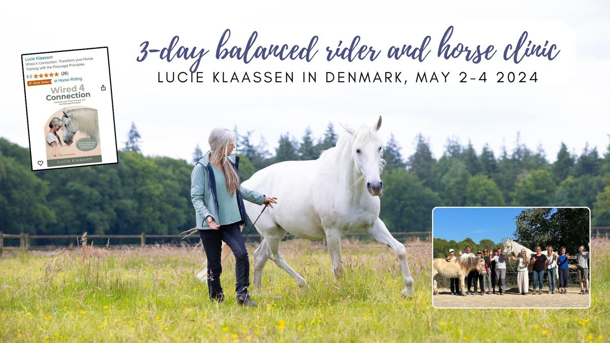 Balanced Rider & Horse with Lucie Klaassen